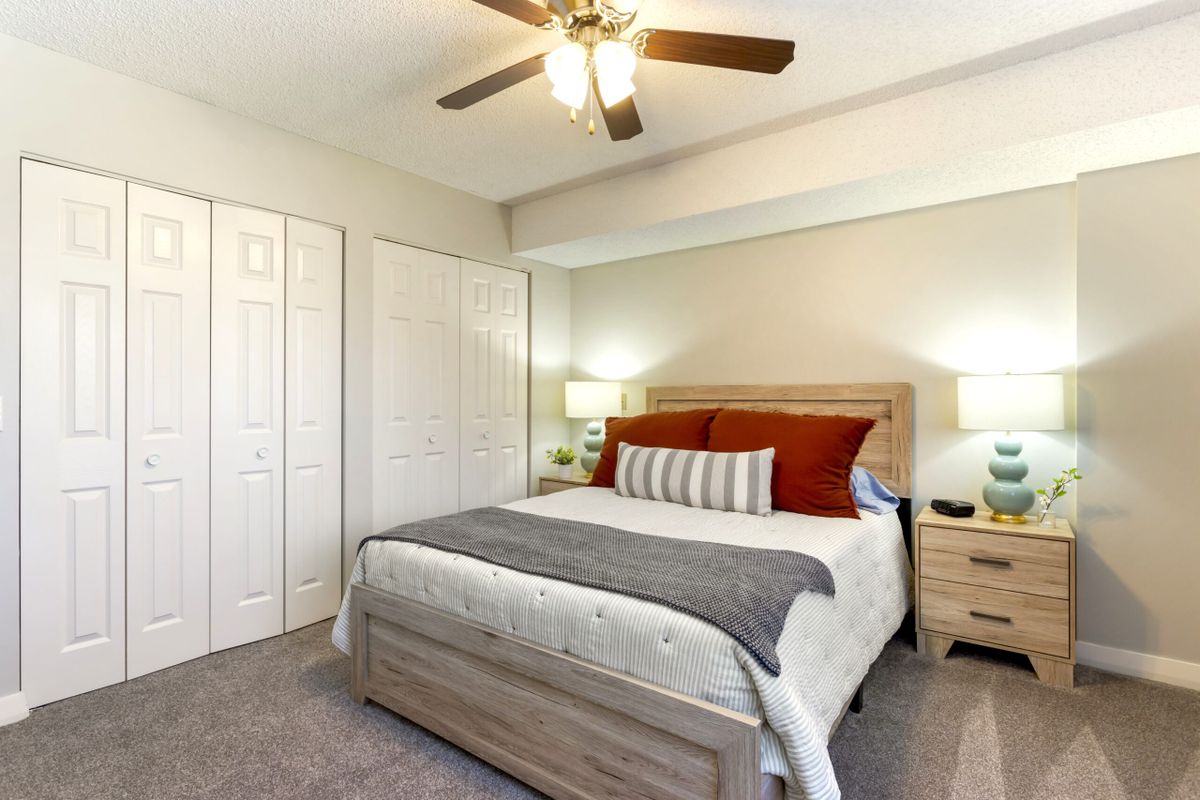 The Montclair 3