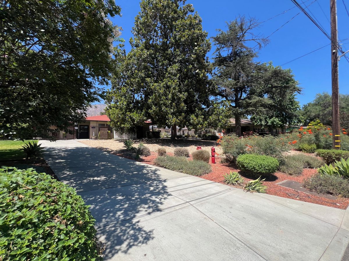 British Home in California 2