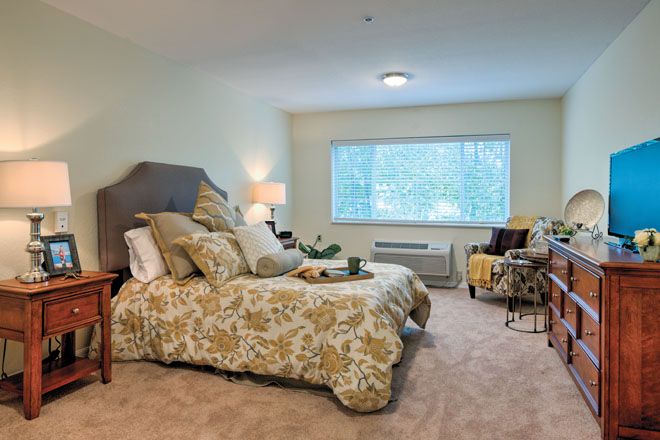 The Colonnade at Carrollwood 4