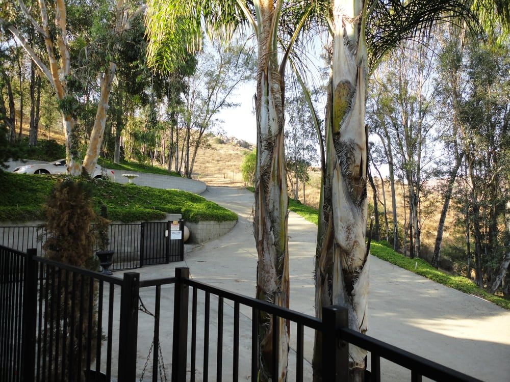 Dehesa View Manor 4