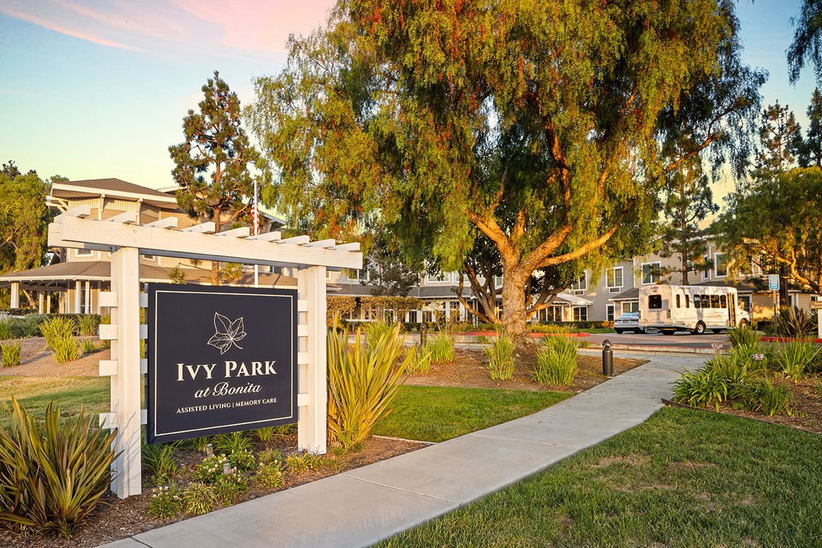 Ivy Park At Bonita 1