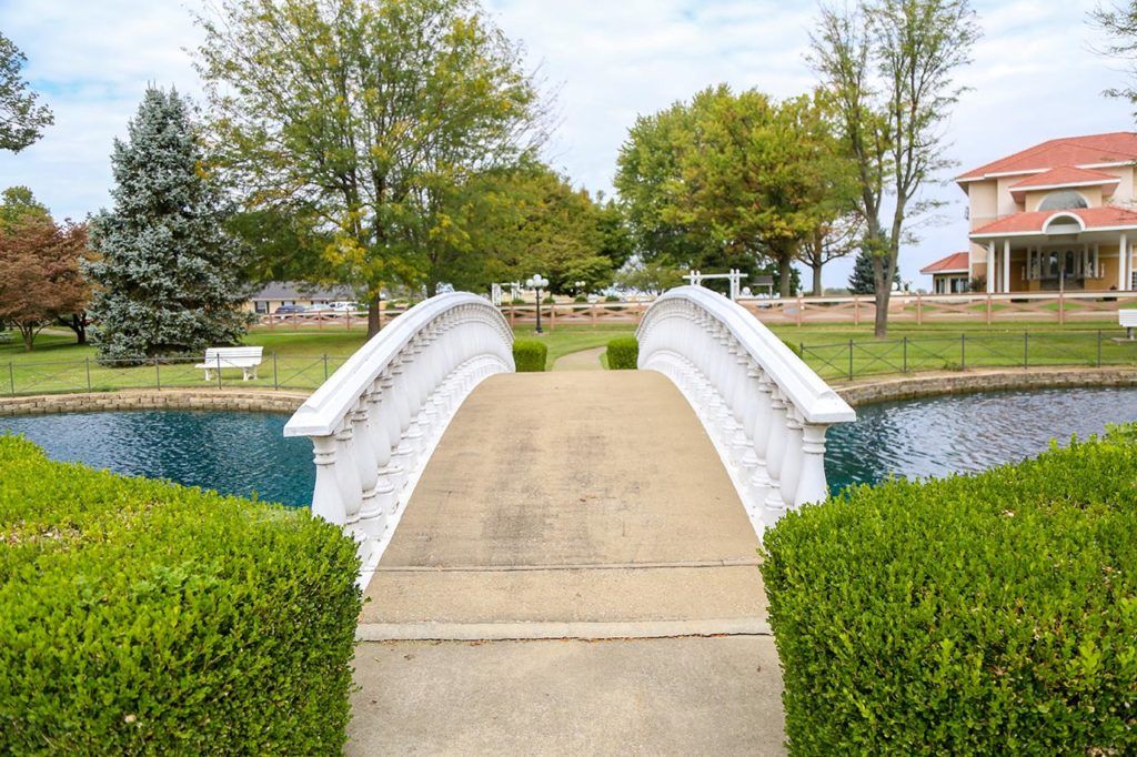 Fern Terra Of Owensboro 1