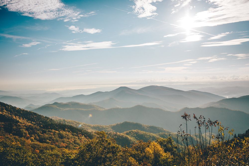 Assisted Living in North Carolina