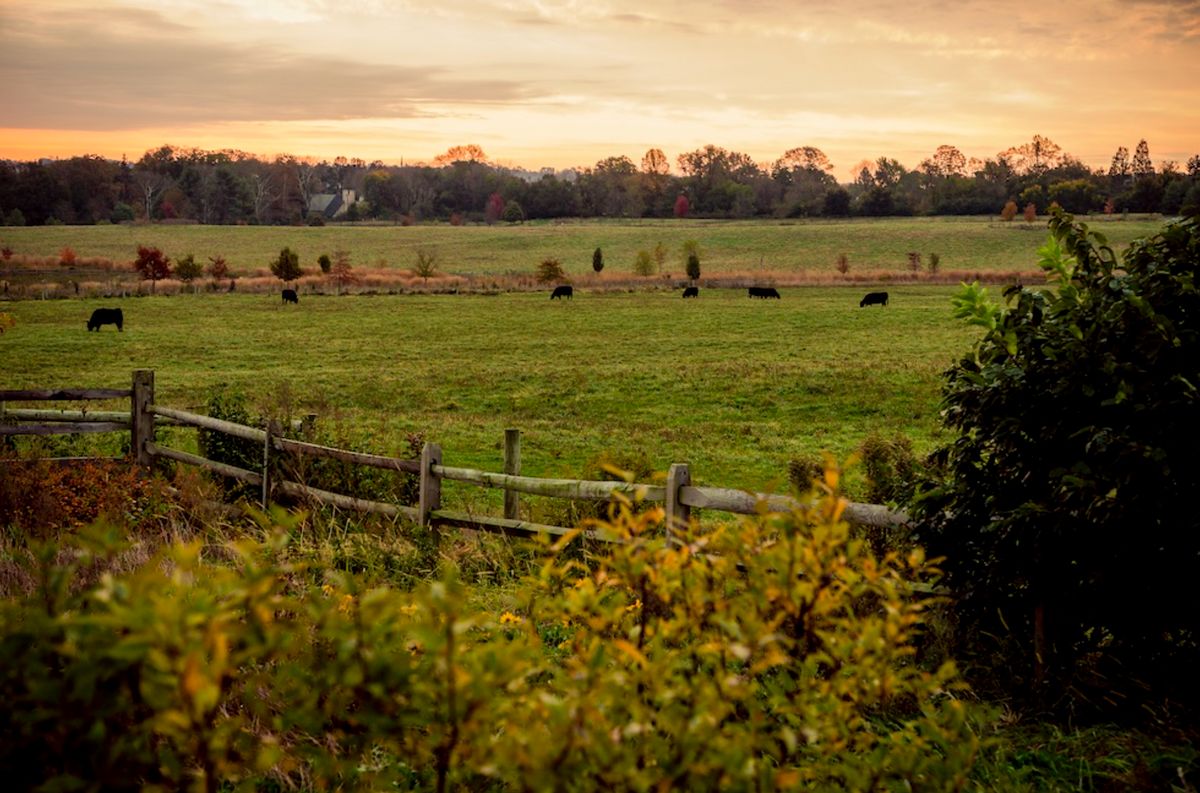 The Hill At Whitemarsh 3