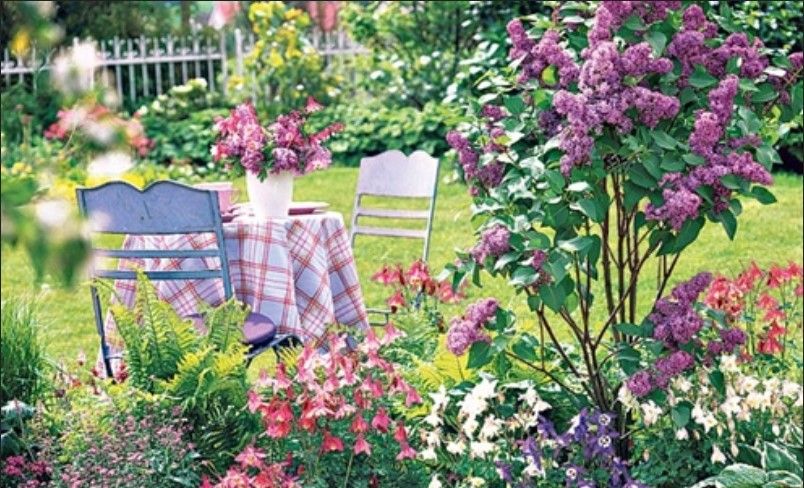 Lilac View 2
