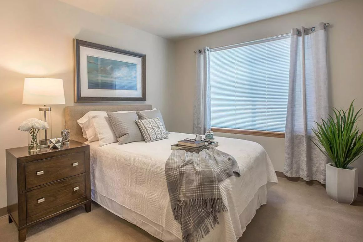 Regency Newcastle 3