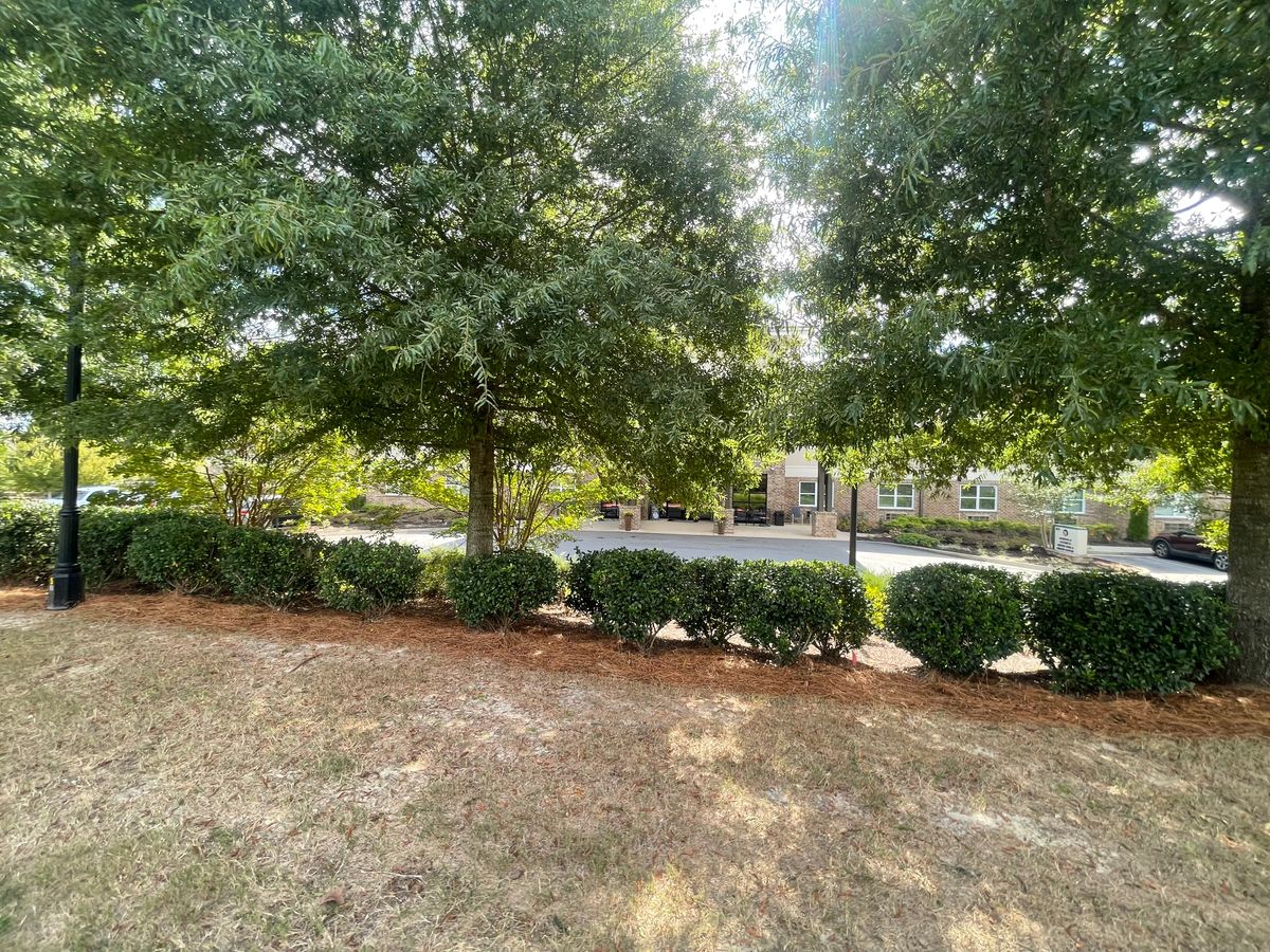 The Addison at Alpharetta 1