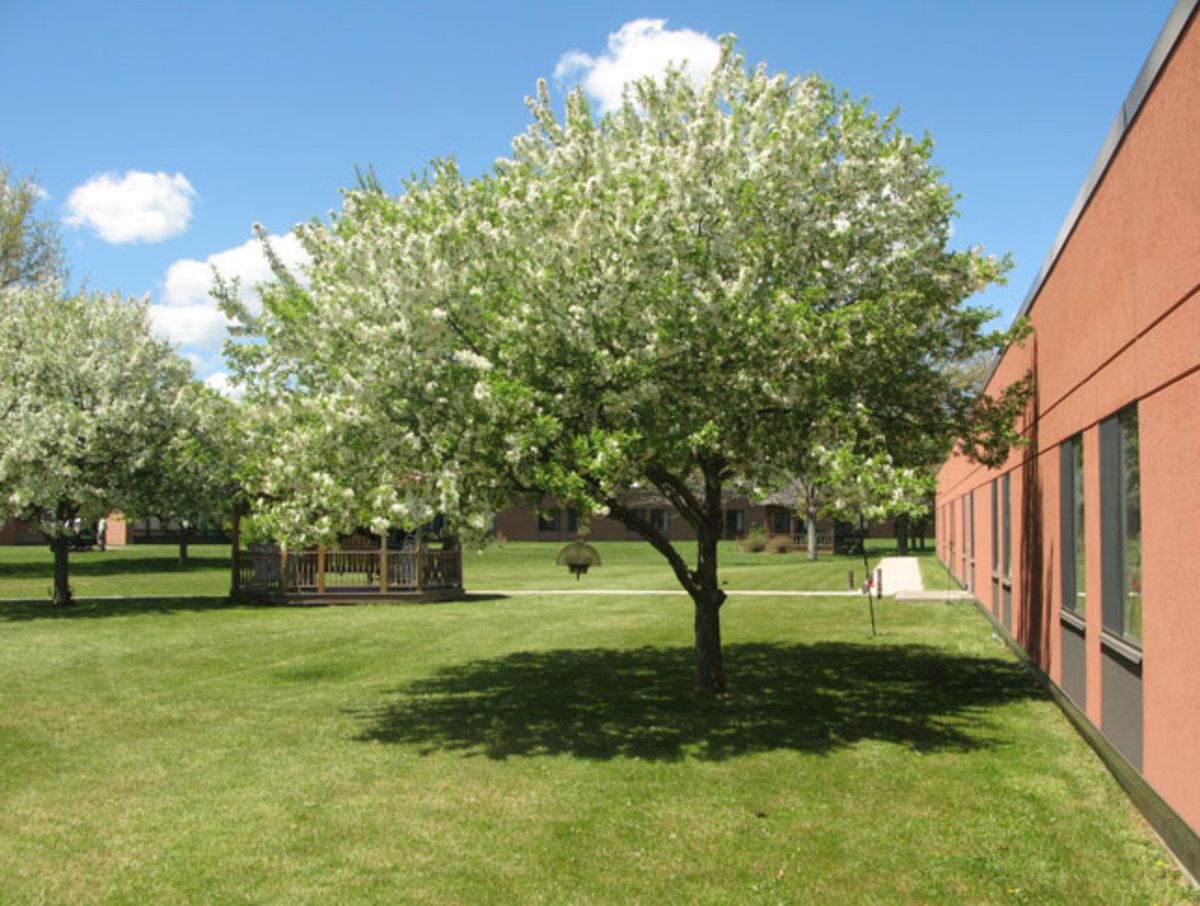 Manor Hills 1