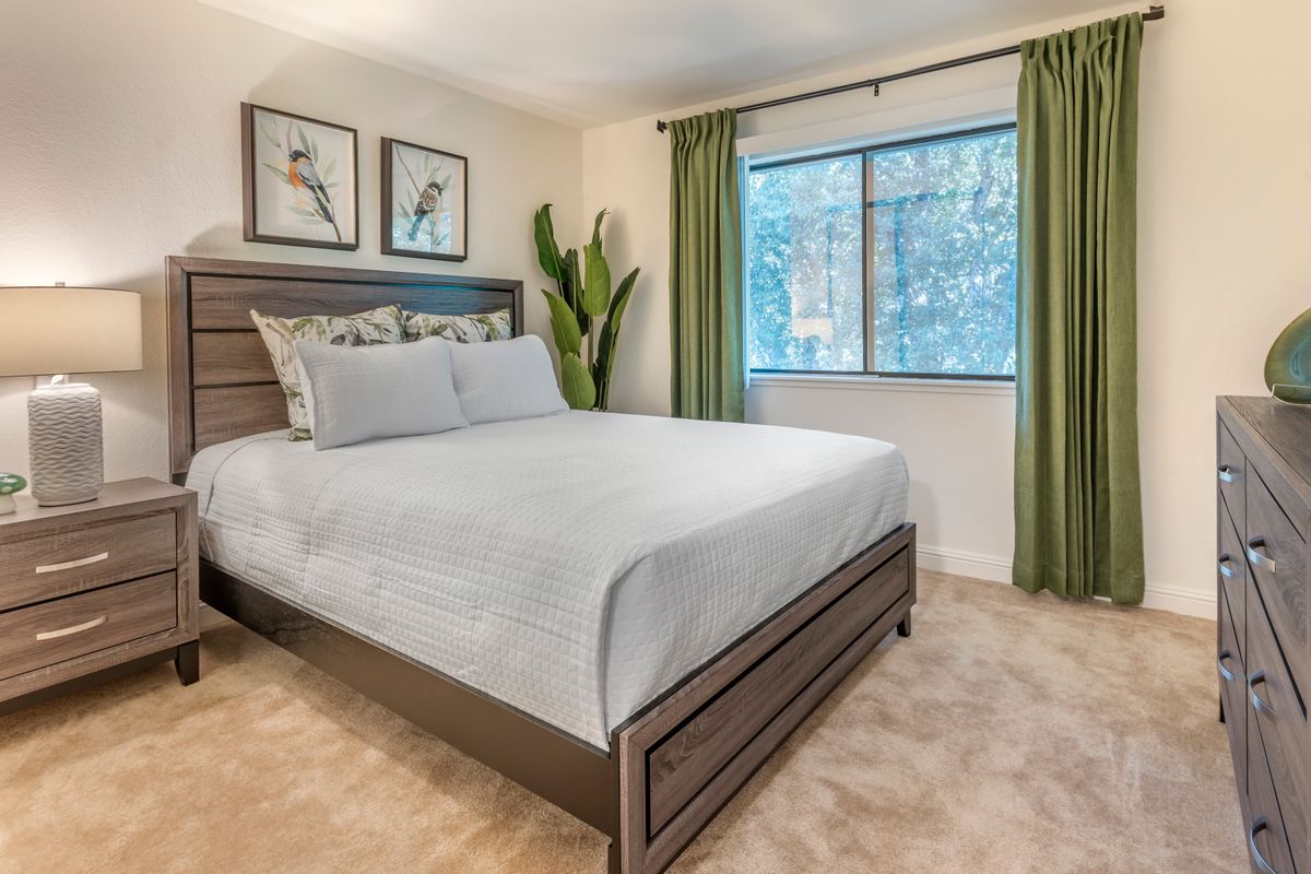 Brookdale Scotts Valley 2