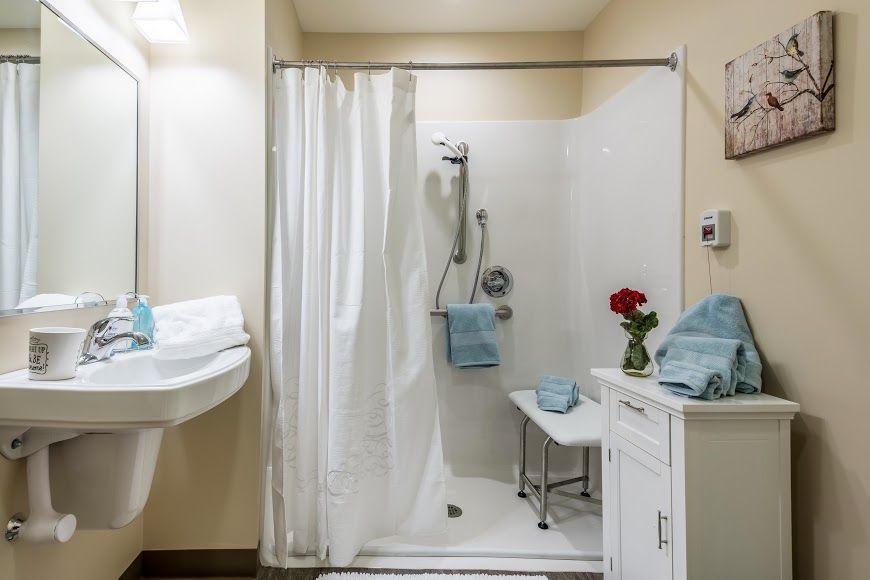 Peregrine Senior Living at Colonie 4