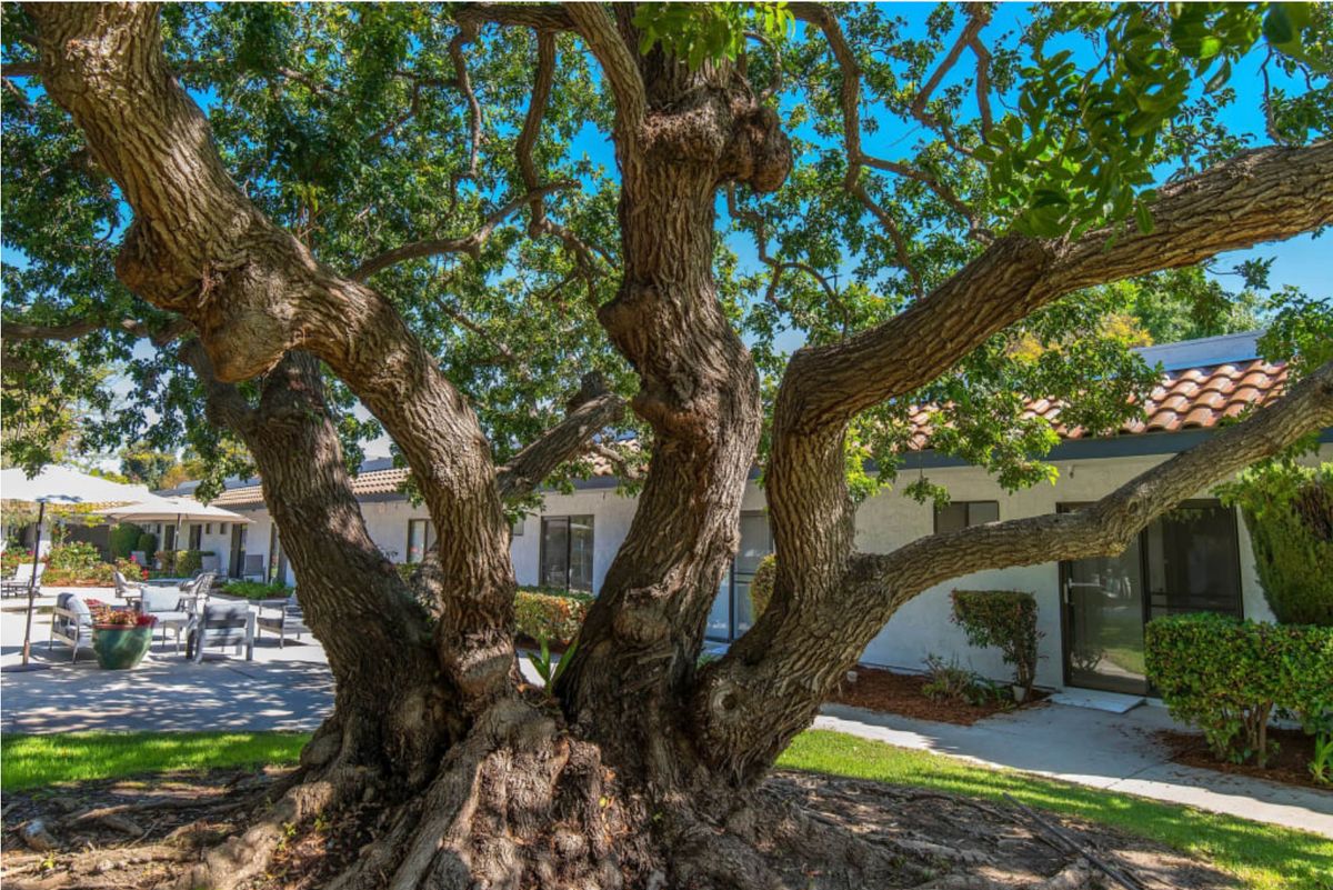 Aasta Assisted Living 4