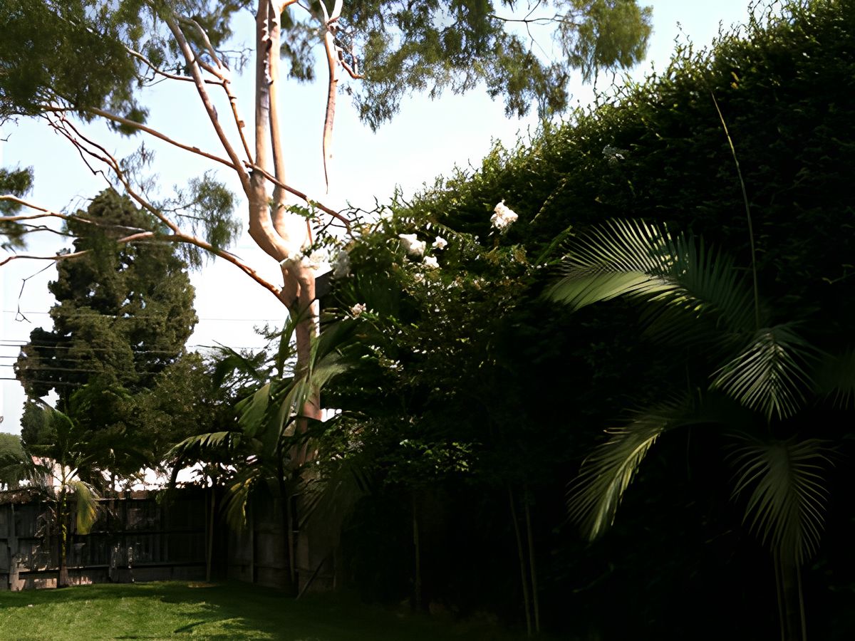 Pacifica Royale Assisted Living Community 2