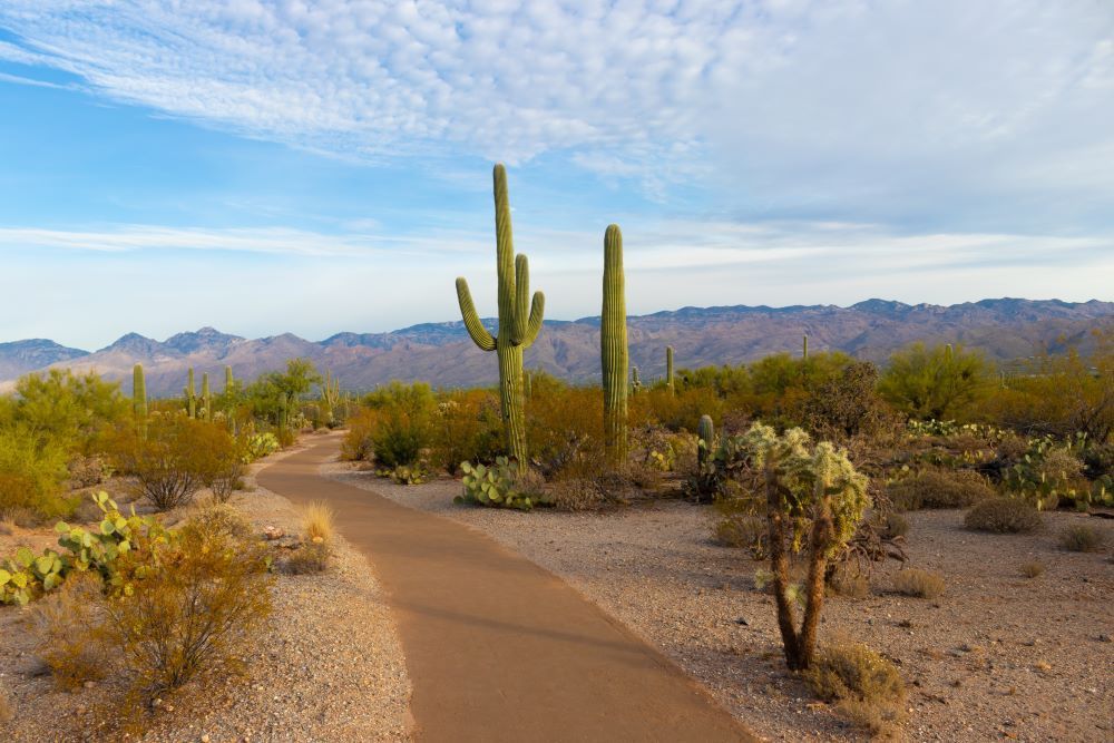 Assisted Living in Arizona