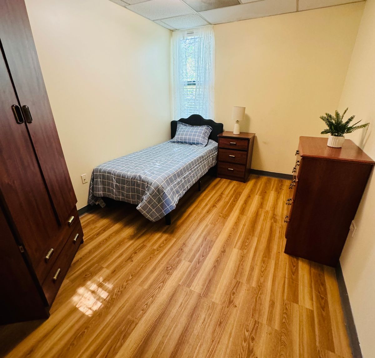 Allay Senior Care 3