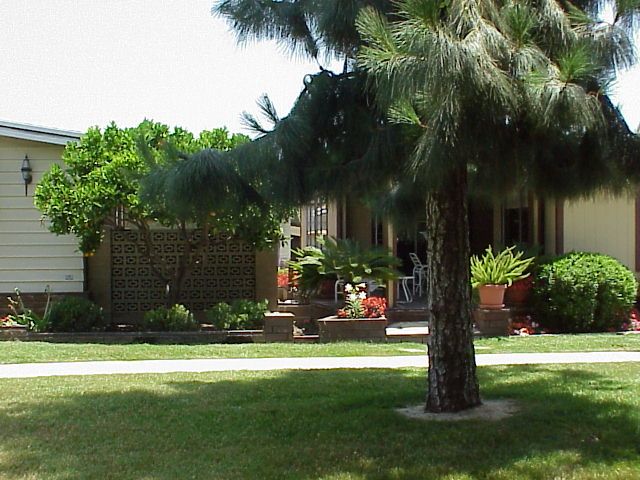 Lake Park Placentia 4