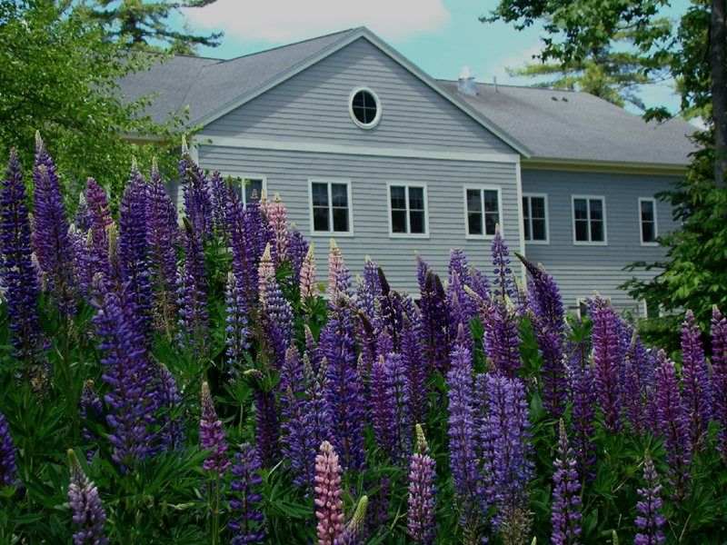 Dirigo Pines Inn 3