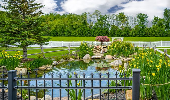Beaver Meadows 4