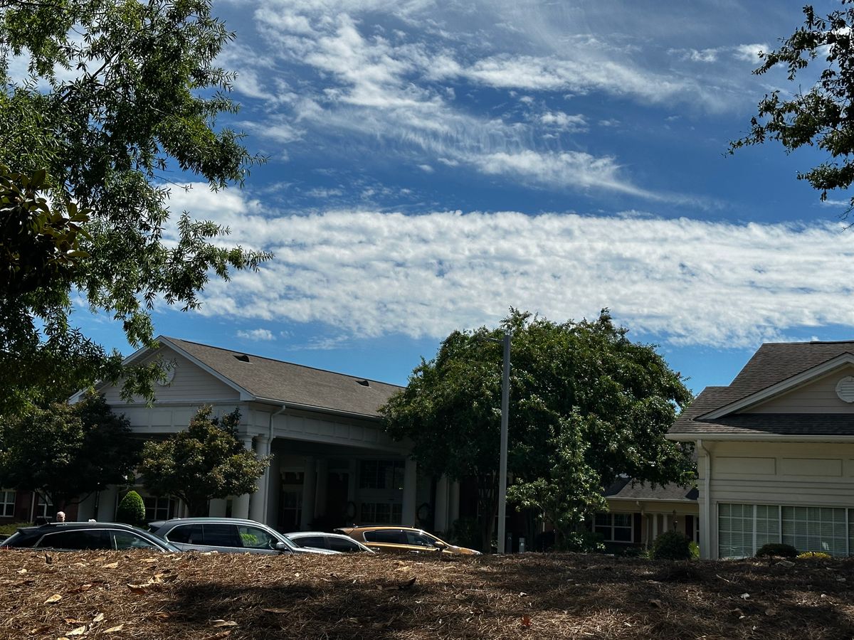 Palmettos Of Parklane 4