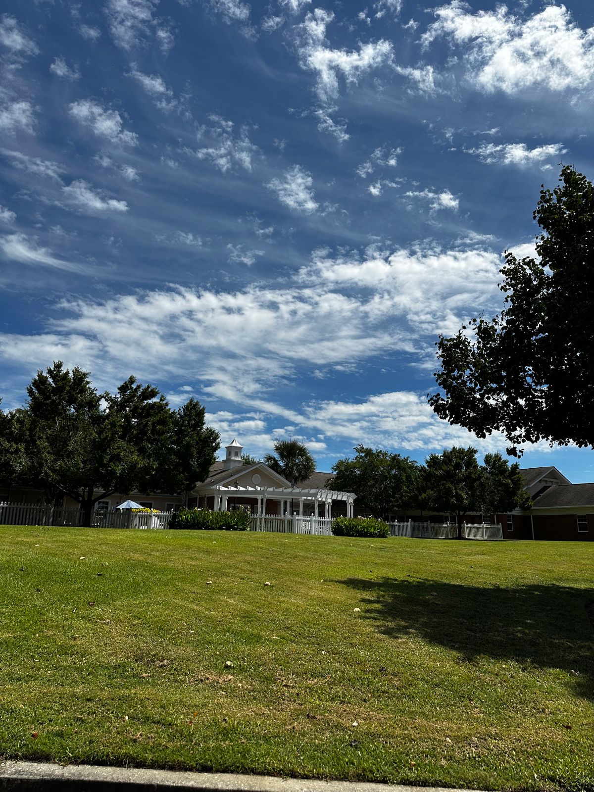 Palmettos Of Parklane 3