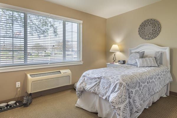 Brookdale Urbana 3
