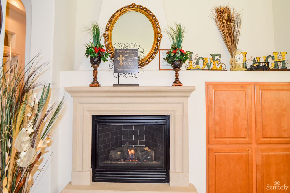 Fireplace in the Living Room