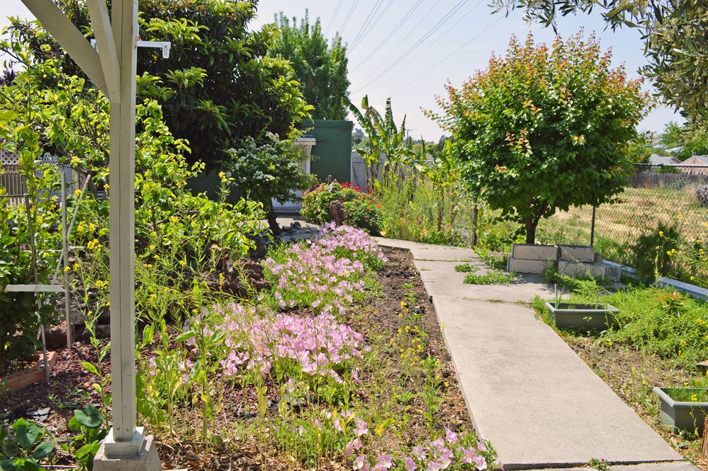 Nena & Ray's Guest Home Inc. #2 2