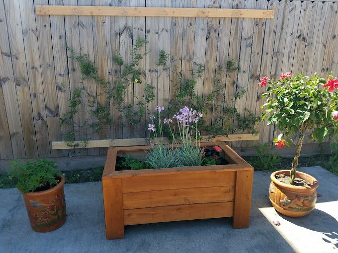 Homebridge Care 2