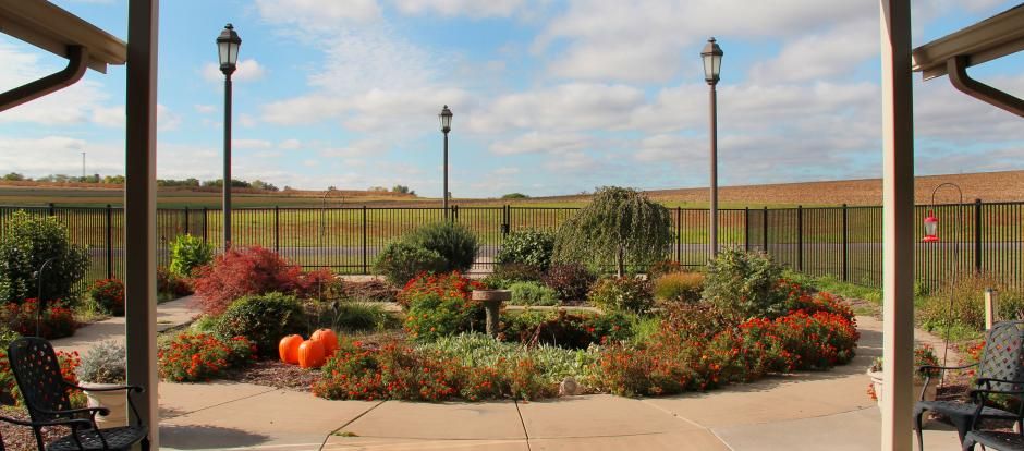 Well Care Home Nfp, Inc 2