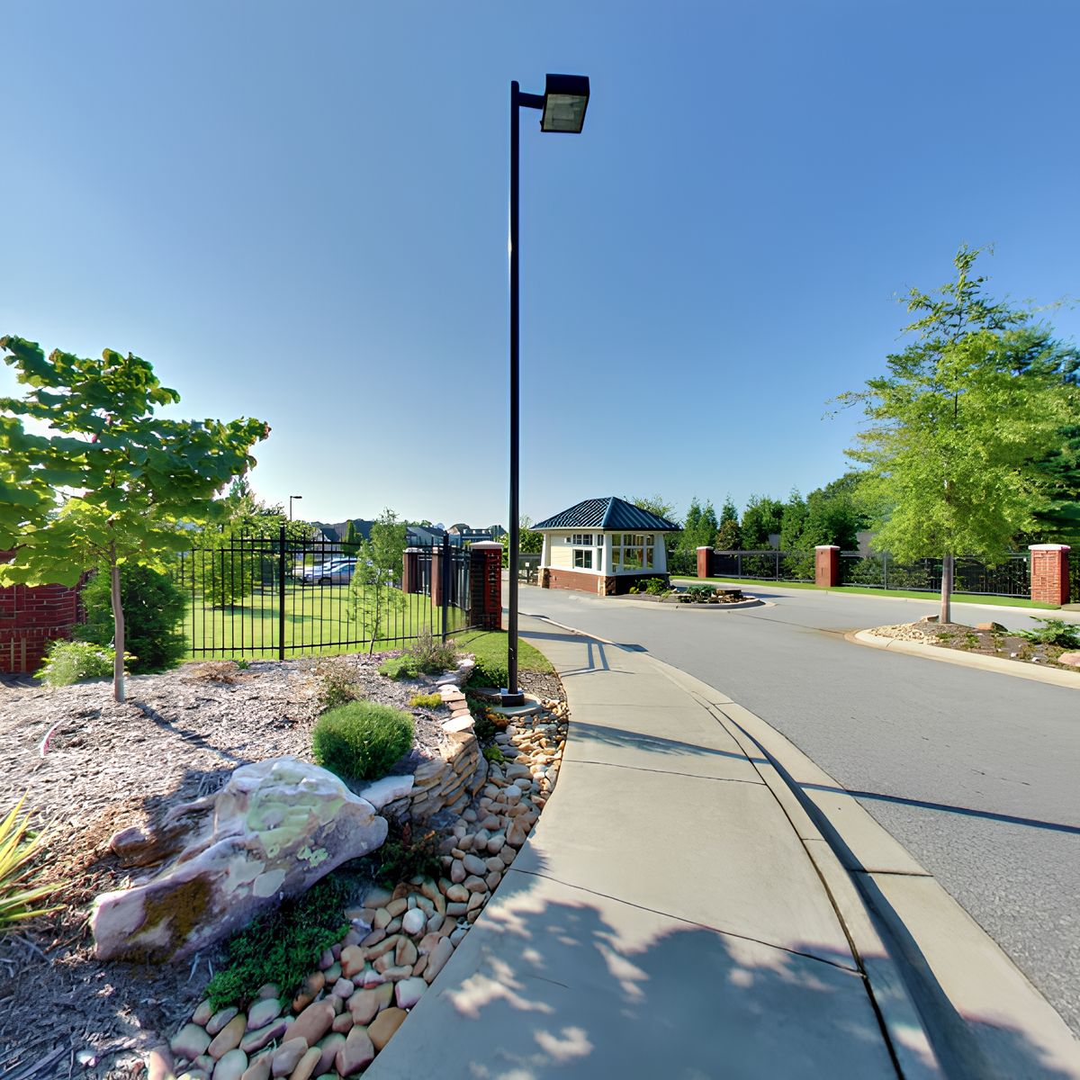 Arbor Acres 3