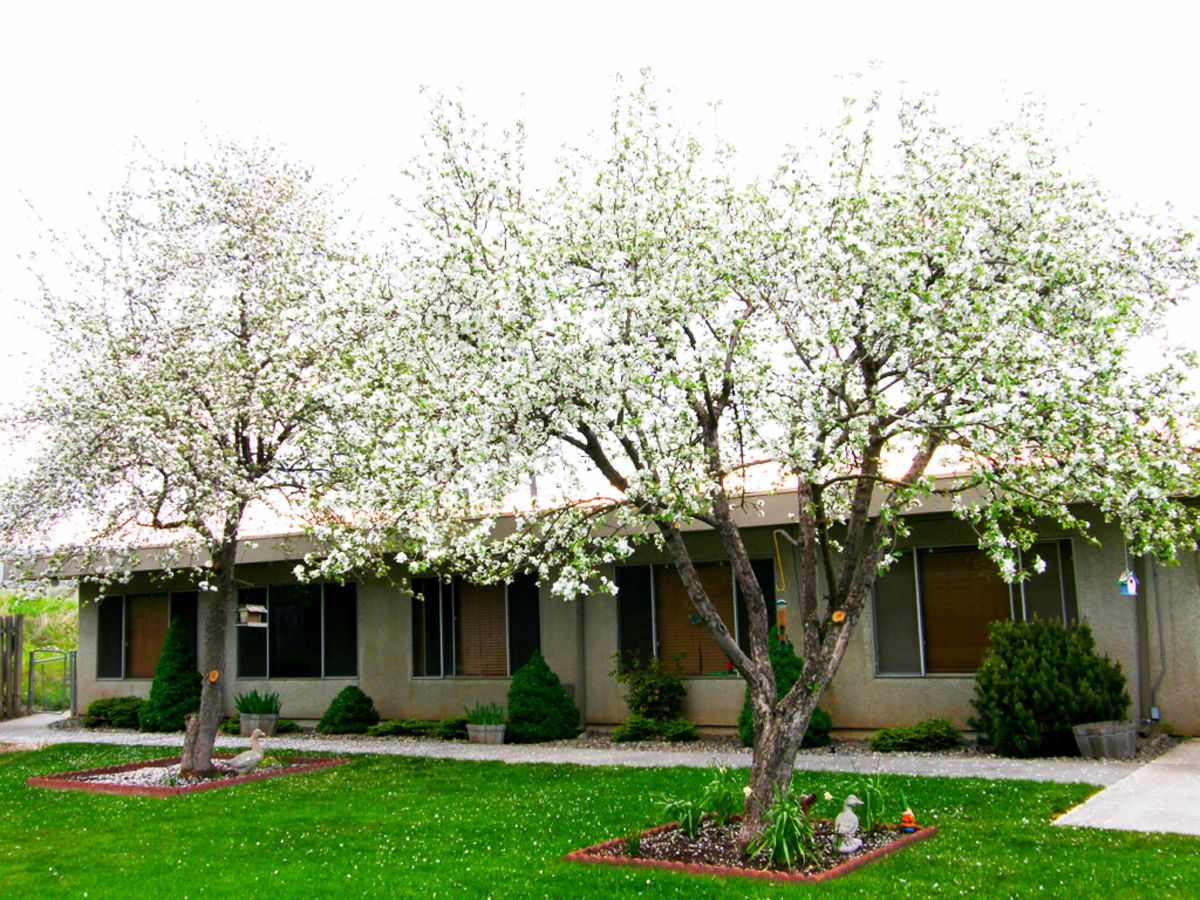Pullman Care 3