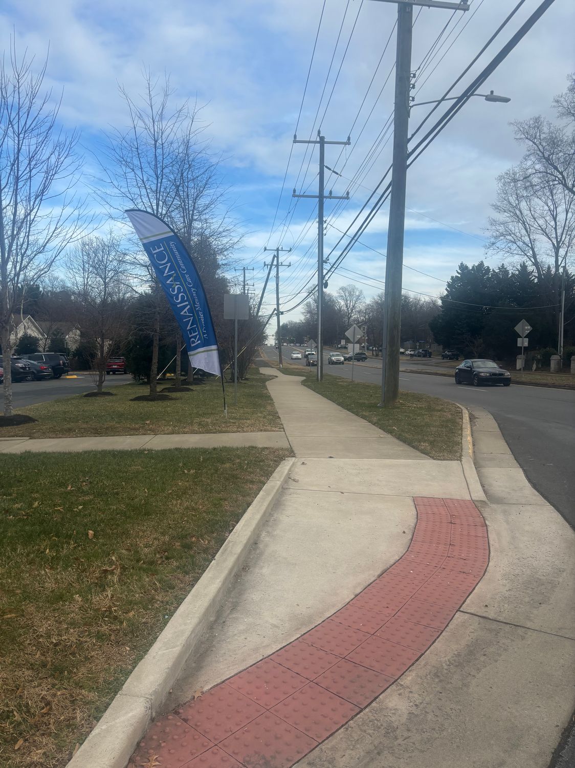 Renaissance of Annandale 4