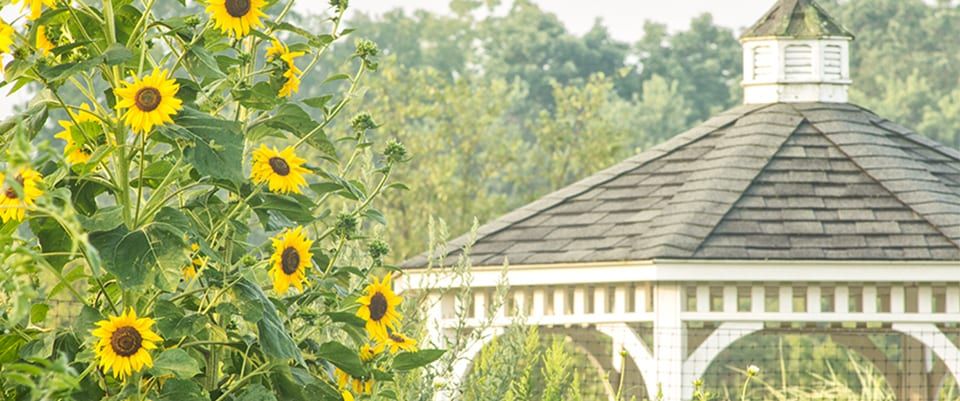 Pennswood Village 1