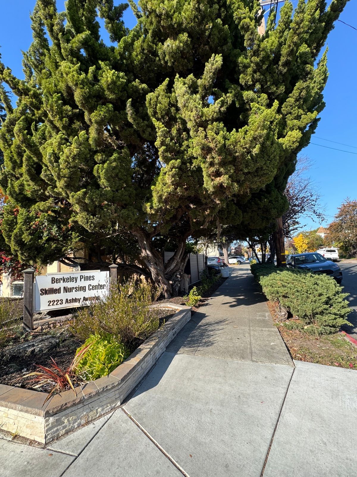 Berkeley Pines Skilled Nursing Center 3