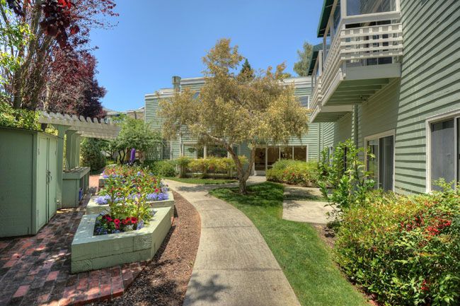 Palo Alto Commons 4