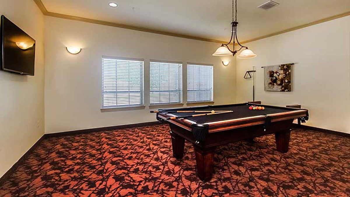 Vitality Court Texas Star 2
