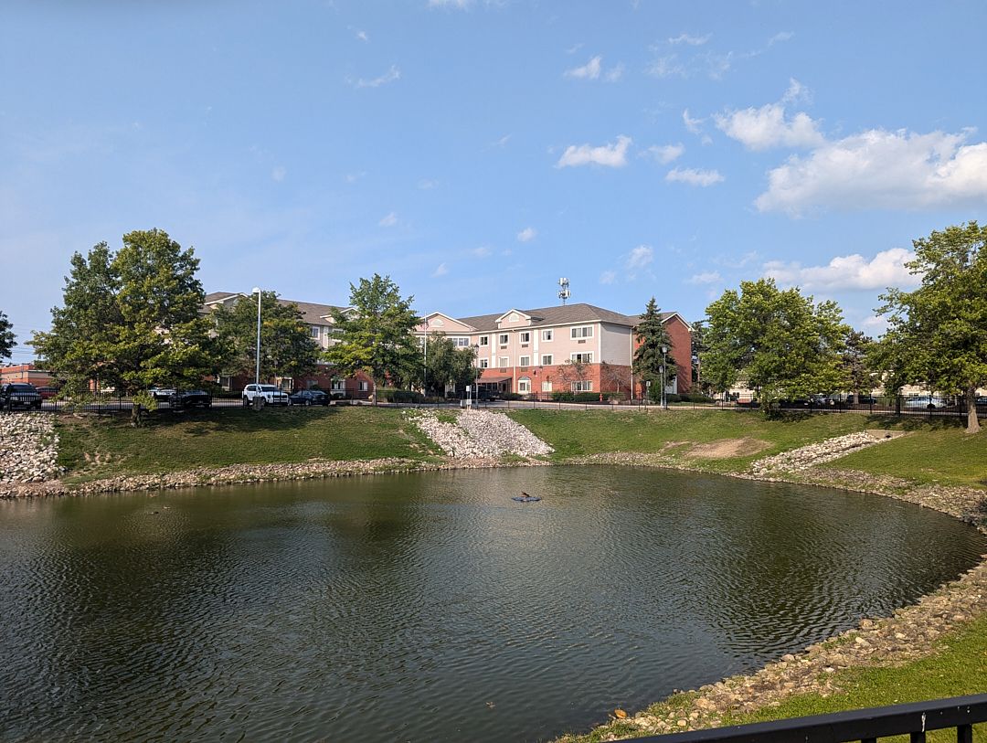 Regent of Lyndhurst 4