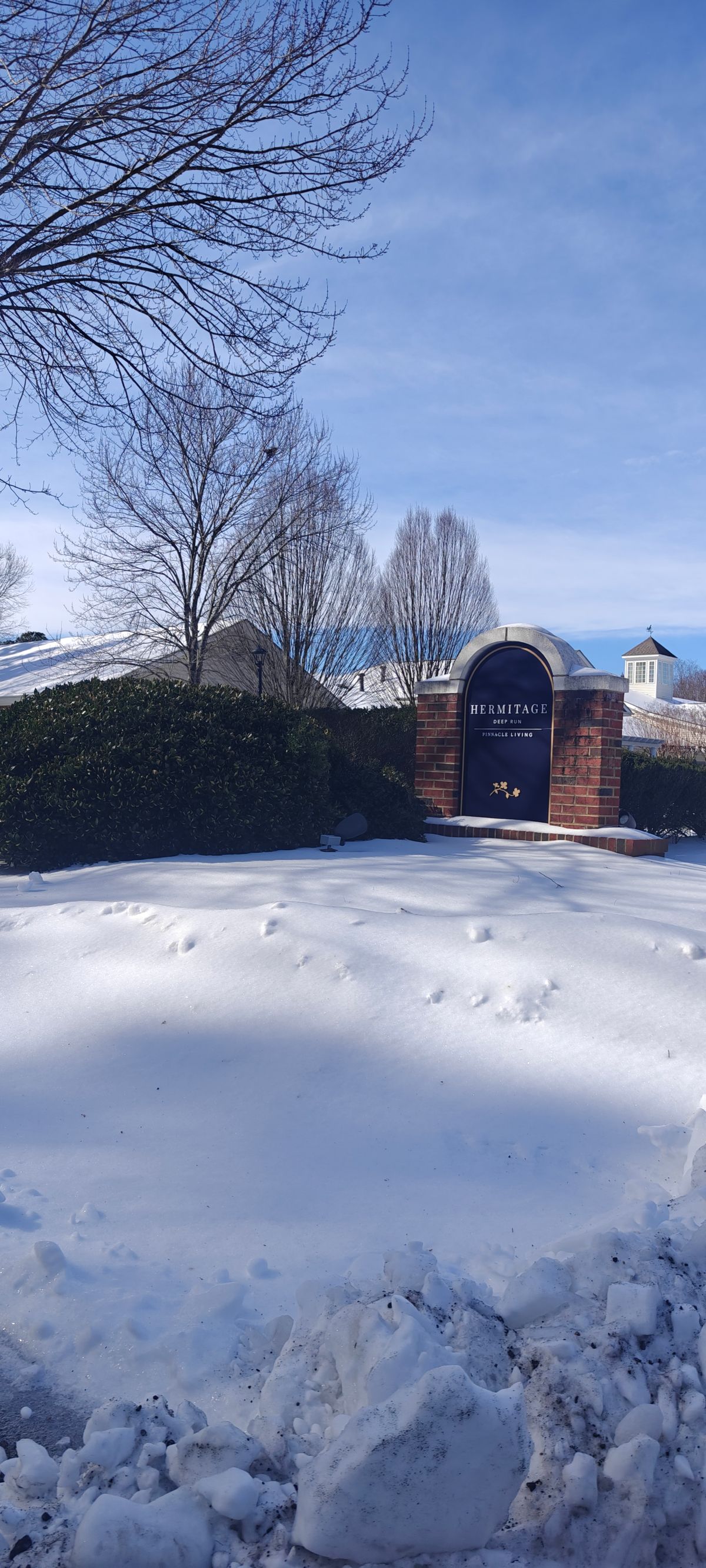 Hermitage Deep Run 4