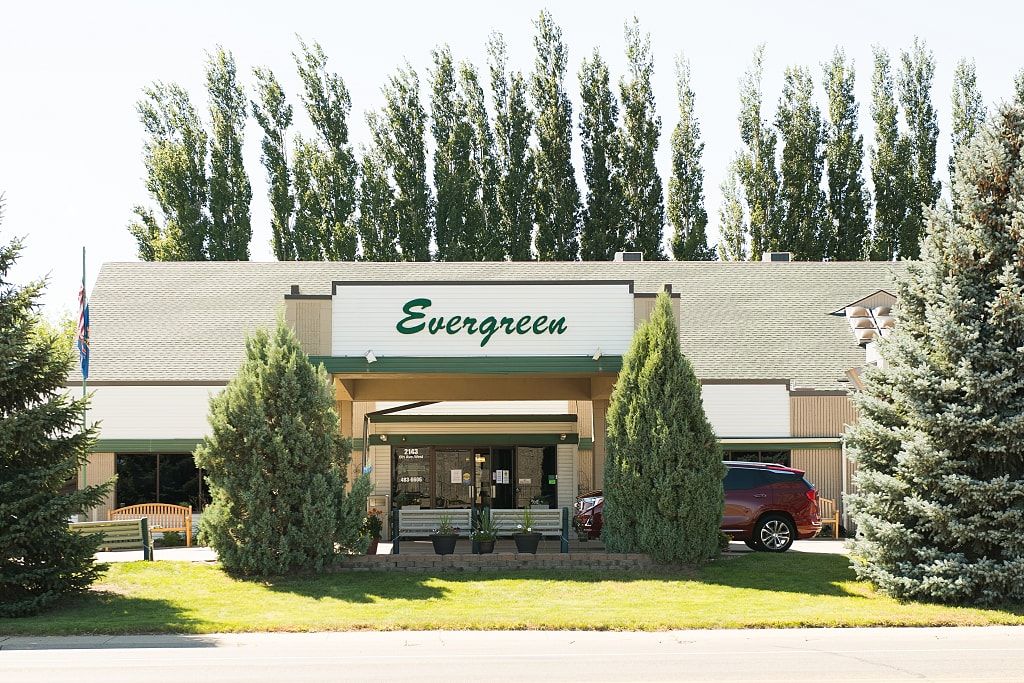 Evergreen Dickinson 1