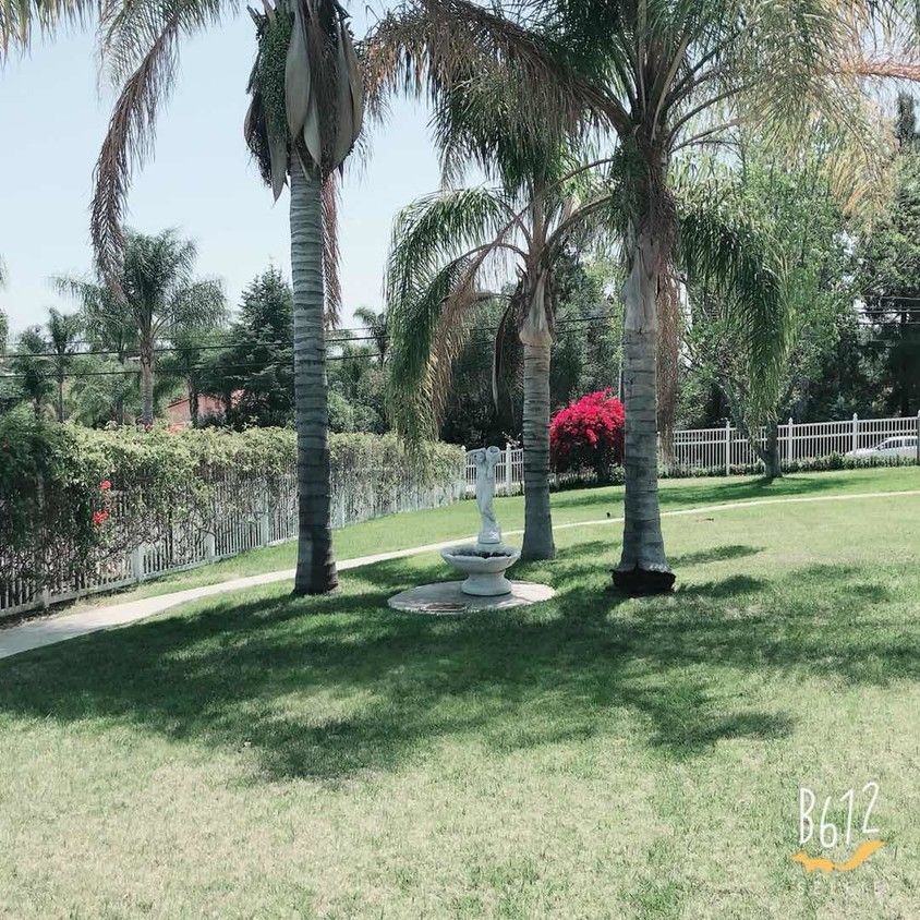 Country Gardens 1