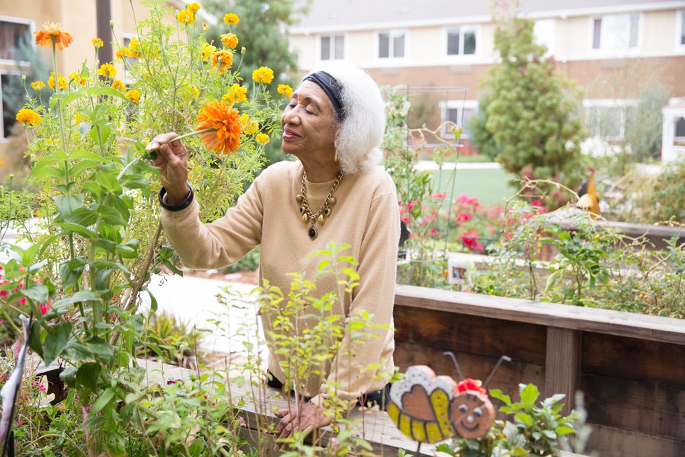 Carlton Senior Living Elk Grove 2