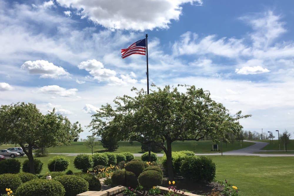 The Meadows Of Leipsic 3