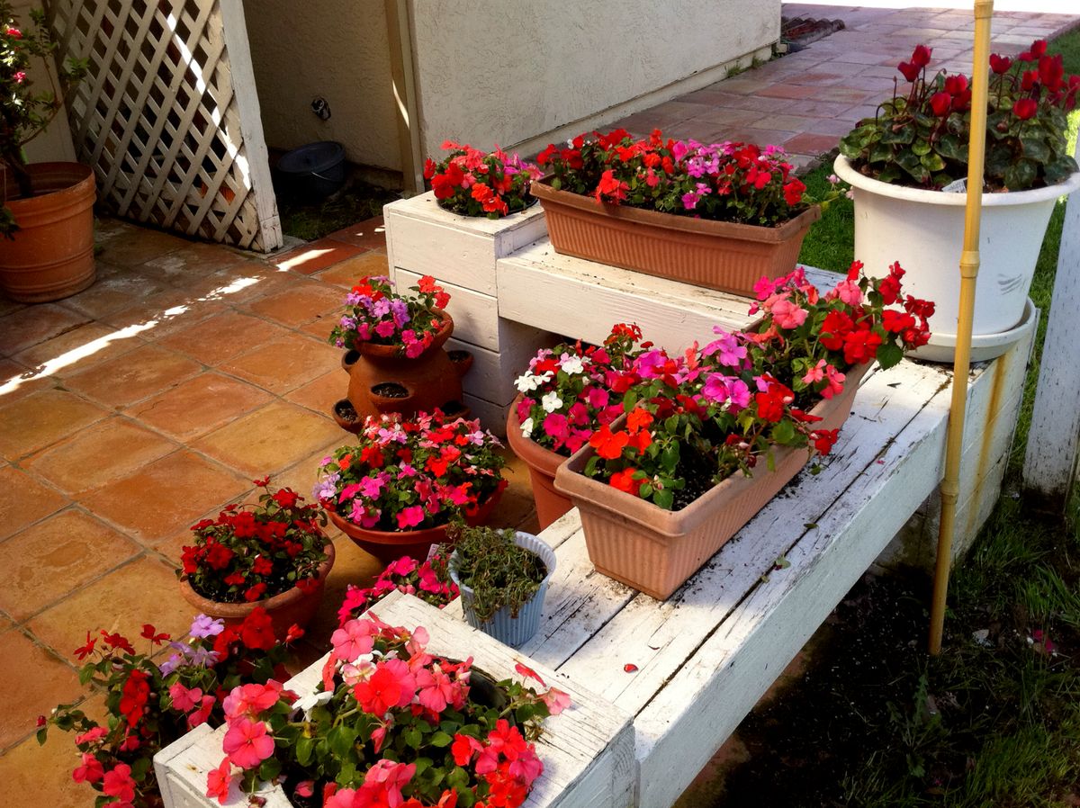Citrus Heights Senior Living 3