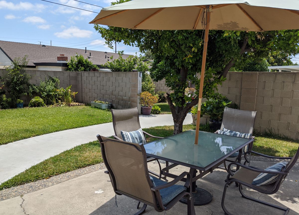 Bubbe & Zayde's Place IV 2