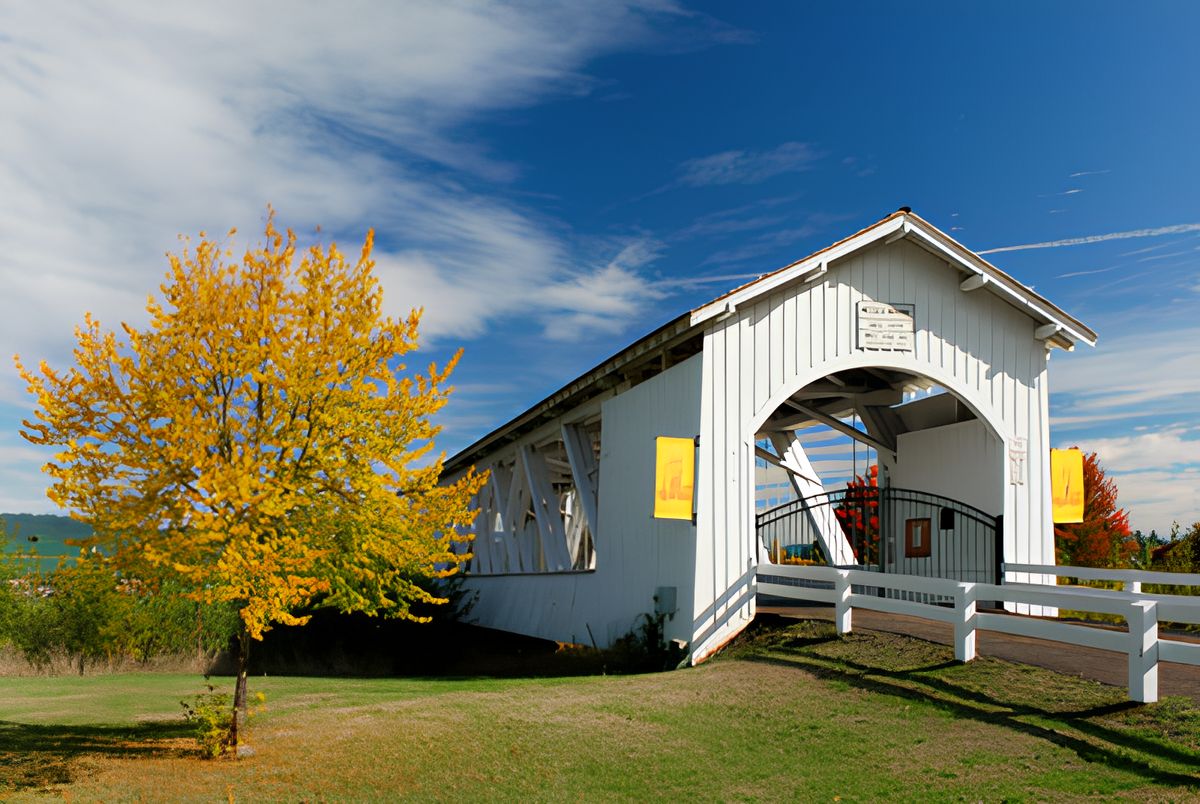 Wiley Creek Community 2