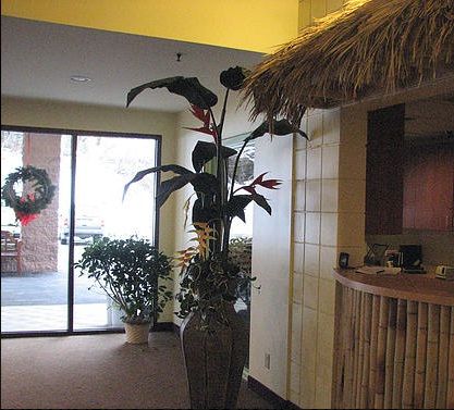 The Palms at O'neil 3