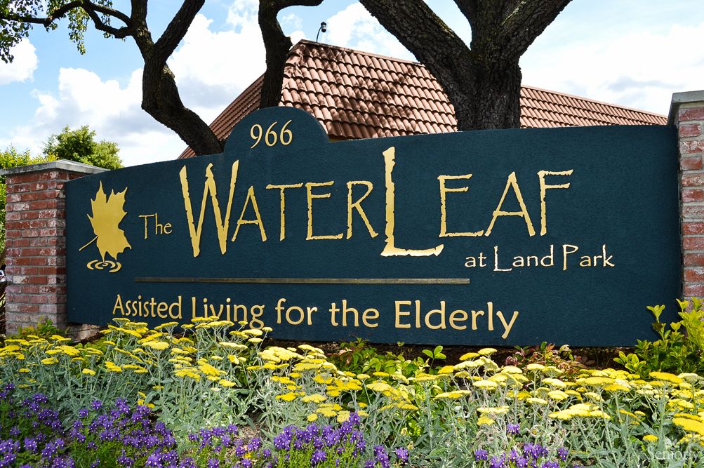 The WaterLeaf at Land Park 1