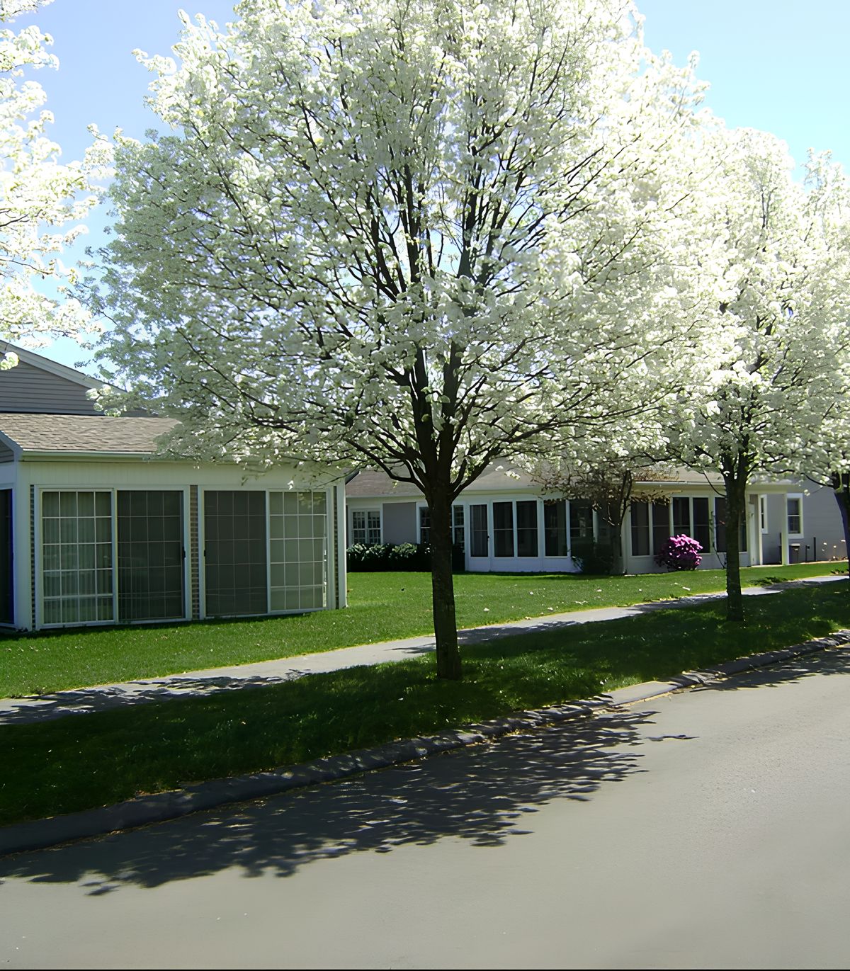 American Inn At Sawmill Park 4