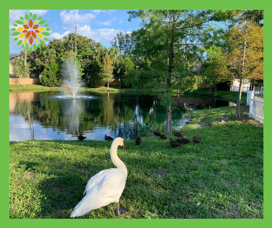 Seasons Belleair Memory Care 4