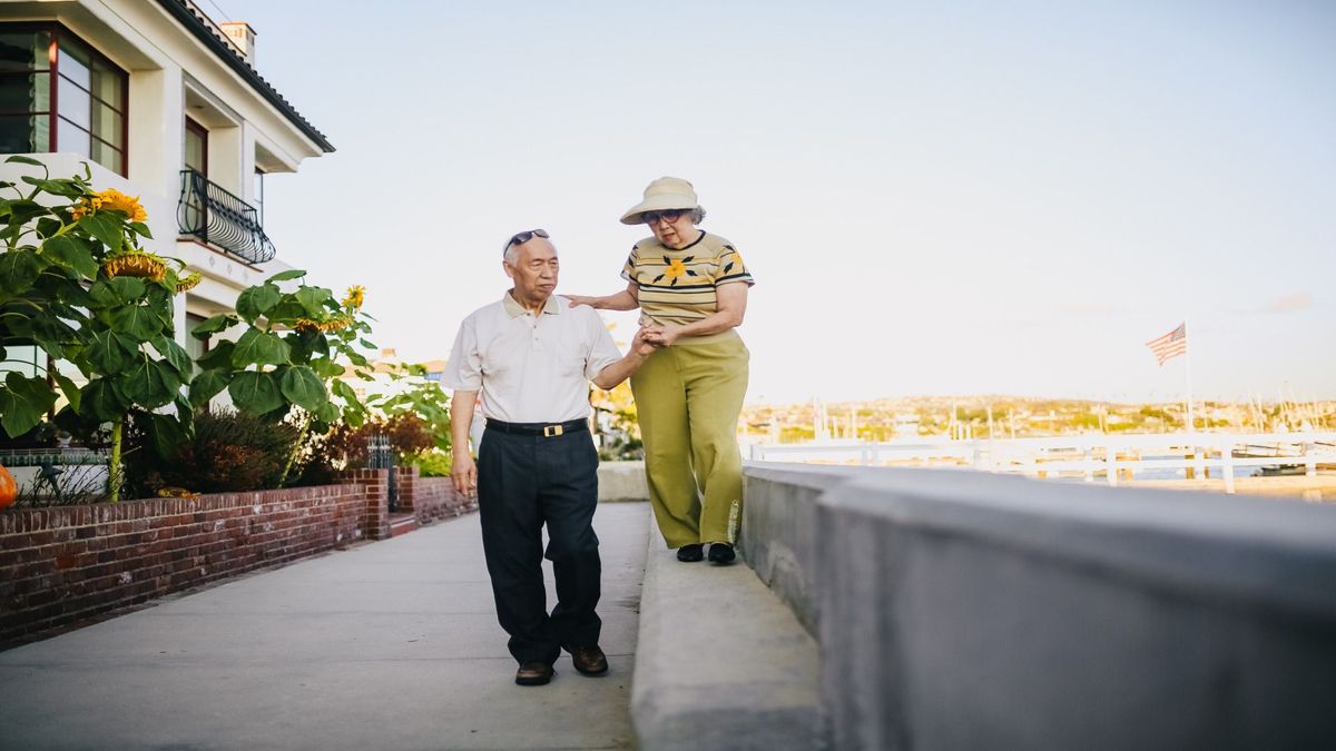 the-healthy-aging-handbook