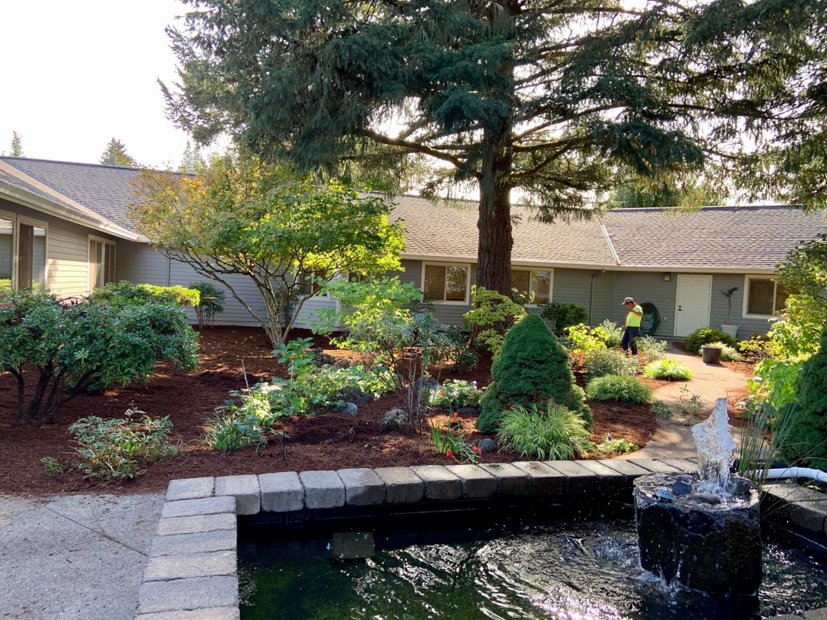 Magnolia Gardens Senior Living and Memory Care 4